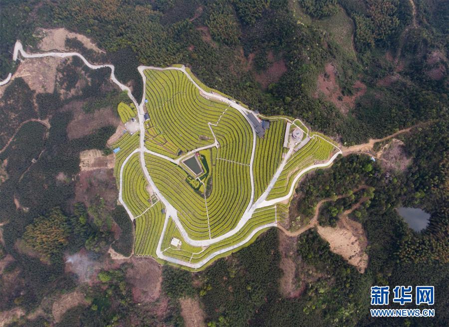 (新华全媒头条·图文互动)(3)生态文明之光照耀美丽中国——写在绿水青山就是金山银山理念提出15周年之际