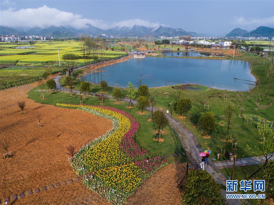 (新华全媒头条·图文互动)(7)生态文明之光照耀美丽中国——写在绿水青山就是金山银山理念提出15周年之际