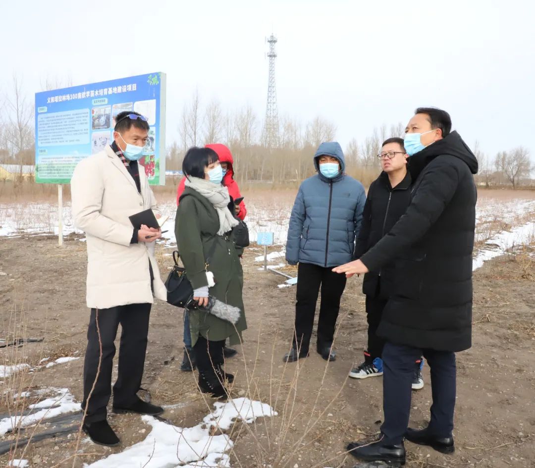 实地采访科右中旗义和塔拉林场300亩